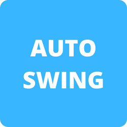 Auto Swing Armand